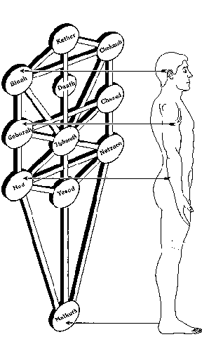 tree of life2